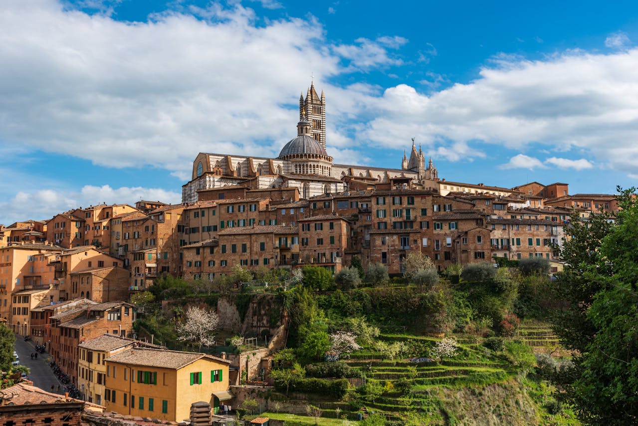 Siena2