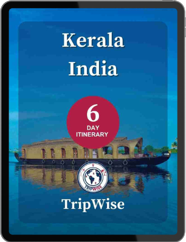 Houseboat on Kerala backwaters with palm trees, 6-day South India itinerary