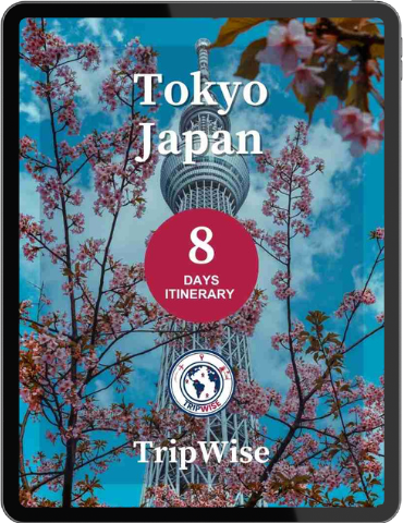 Shibuya Crossing and Tokyo skyline at night, 8-day Japan itinerary with metro tips